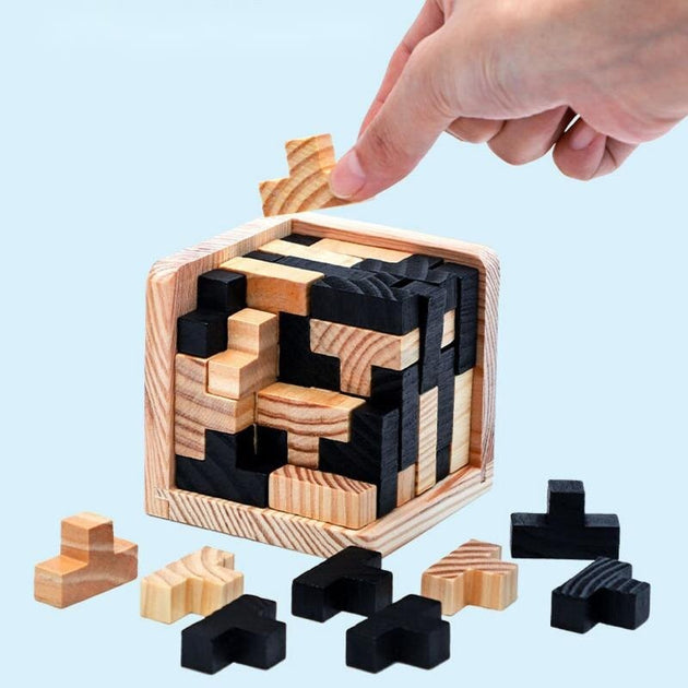 Puzzles casse-tête en bois, Jeux de puzzle de l’esprit pour les tests de  QI, Jouets de puzzle à déverrouillage chinois, Défi enfants enfants  adultes